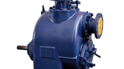 2026 Best Cheap China Trailer Flood Pump Products for Your Needs?