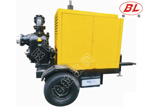 Pompe à moteur diesel mobile ZBCY