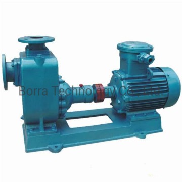 Centrifugal Electric Self-Priming Water Pump